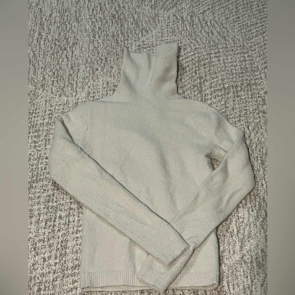 Artizia Wilfred Maxwell Hush Knit Turtleneck